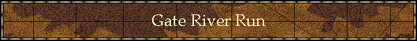 Gate River Run